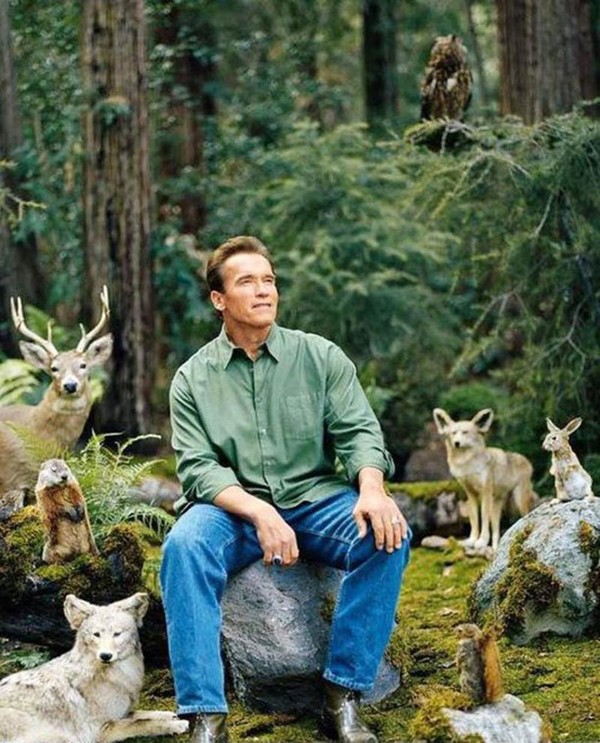 Arnold Schwarzenegger    ...   aime les animaux !