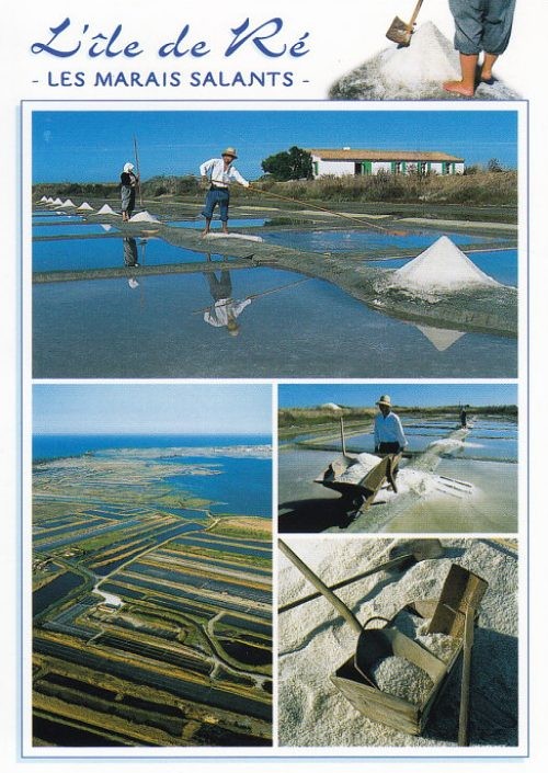 L'île de Ré    ...    et ses marais salants !