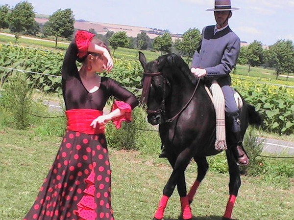 Le Cheval Andalou   ...  petit clin d'oeil à Manuela !