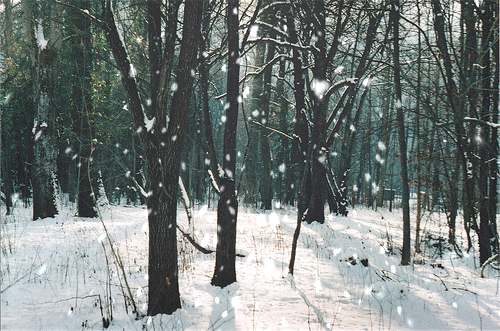 Paysages sous la neige ...