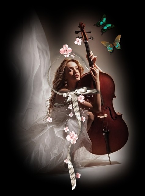 Belle soirée à vous   ...  avec la mariée "au violon"  !