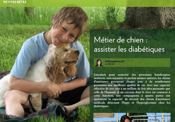 Le chien pourrait aider les diabétiques   ...