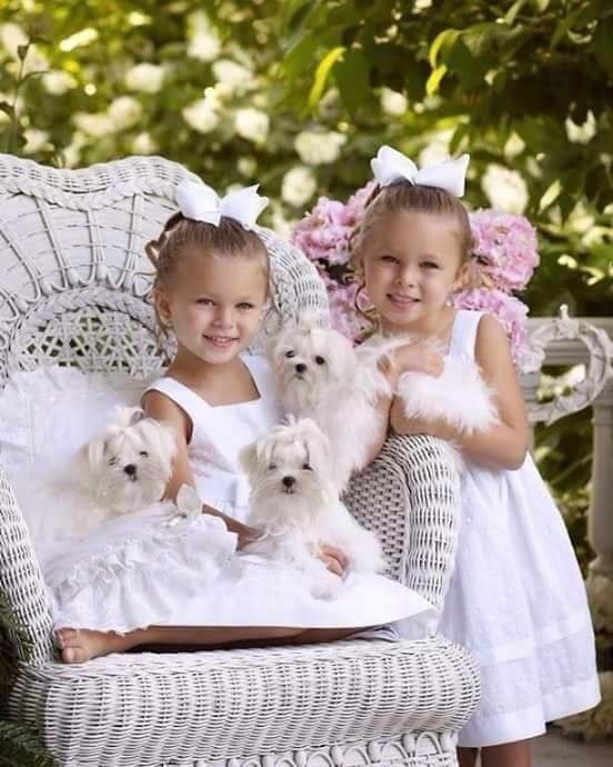 Adorables petites princesses   ...