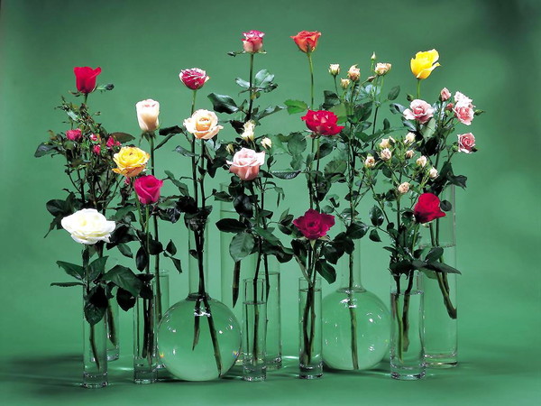 Ces fleurs sont pour toi, toi   ...  et toi aussi !
