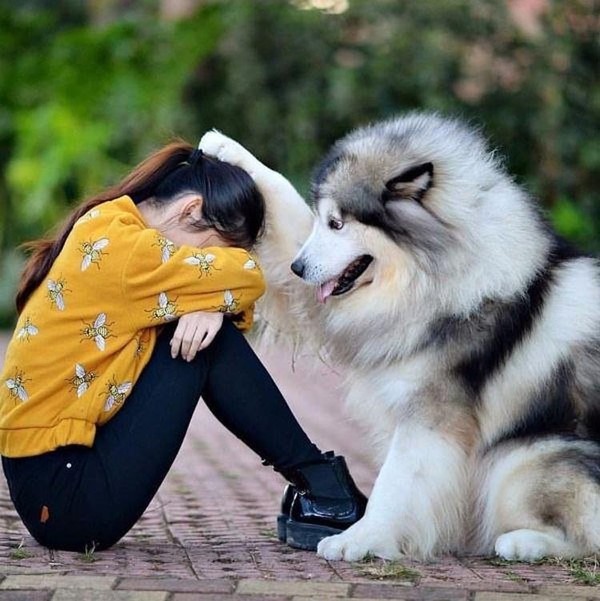 Tendresse animale : Ne sois pas si triste, je suis là, moi !