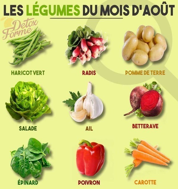 Fruits et lÃ©gumes du mois d'aoÃ»t ...