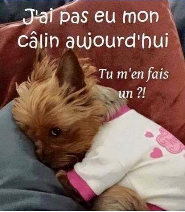 Envie d'un câlin : voici le mien pour aujourd'hui !