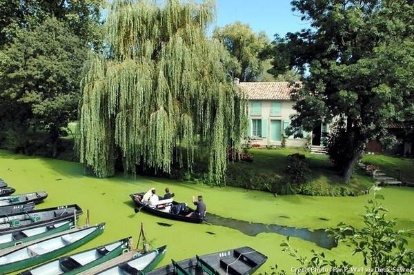 En barque sur la venise verte  ...  Marais Poitevin !