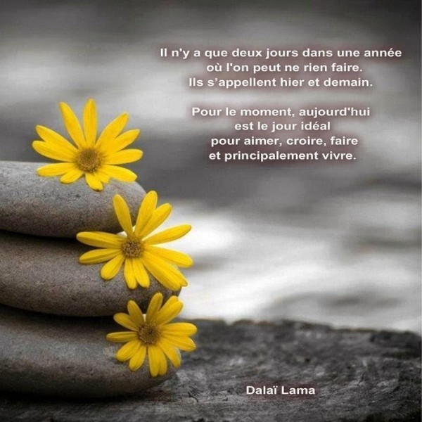 Citation du Dalaï Lama   ...