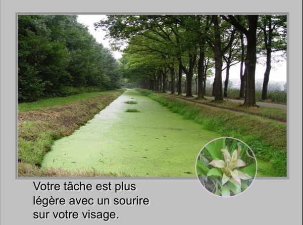 Citations en images ... sans autre commentaire !