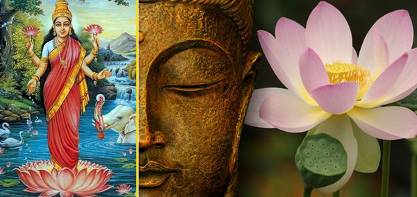 Symbolisme Bouddhique de " la Fleur de Lotus " ...