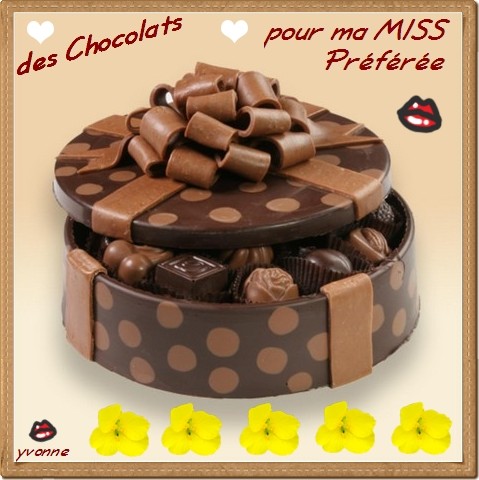 pour toi  ...  Miss  Chocolat   !