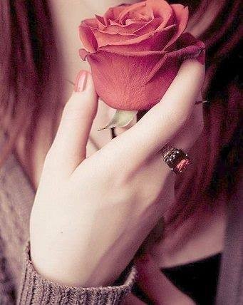 Un discret parfum de rose   ...   rien que pour vous !