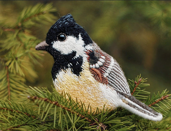 Les  Oiseaux Sauvages  ...  Brodés par Paulina Bartnik  ! 