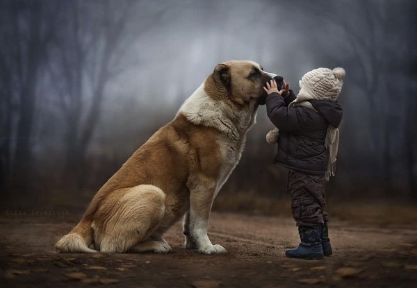 Elena Shumilova    ...   photos d'art  !