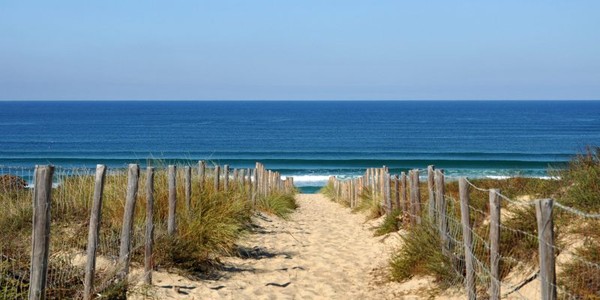 Le Bassin d'Arcachon : entre Océan et Pinède  ...