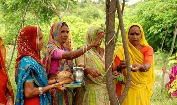 Inde : 111 arbres plantés, naissance fille !        