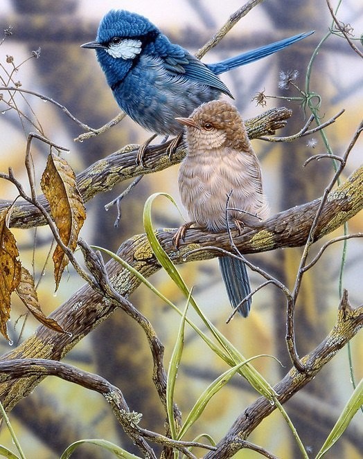 L'oiseau Bleu    ...    poème de Alphone Daudet  !