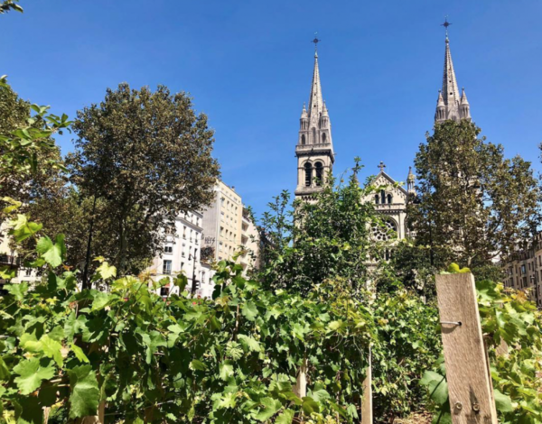 Nouveaux  jardins parisiens, à découvrir ce printemps  ...