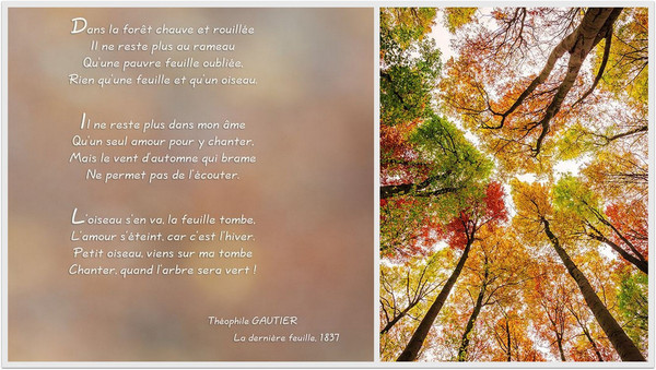 L'automne : la saison préférée des Poètes !
