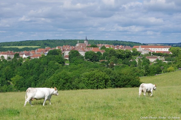 Flavigny-Sur-Ozerain   ...  entre Chablis et Dijon !