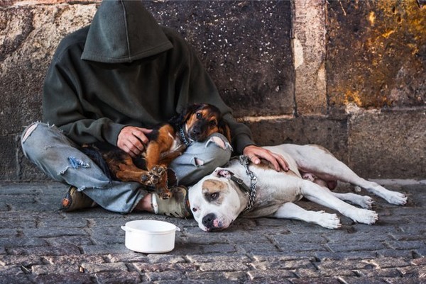 AVIGNON : SDF au chaud avec leur chien !