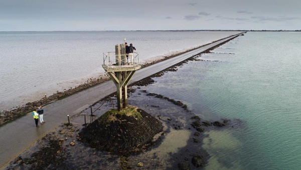 Ile de Noirmoutier   ...   "Le passage du Gois" !