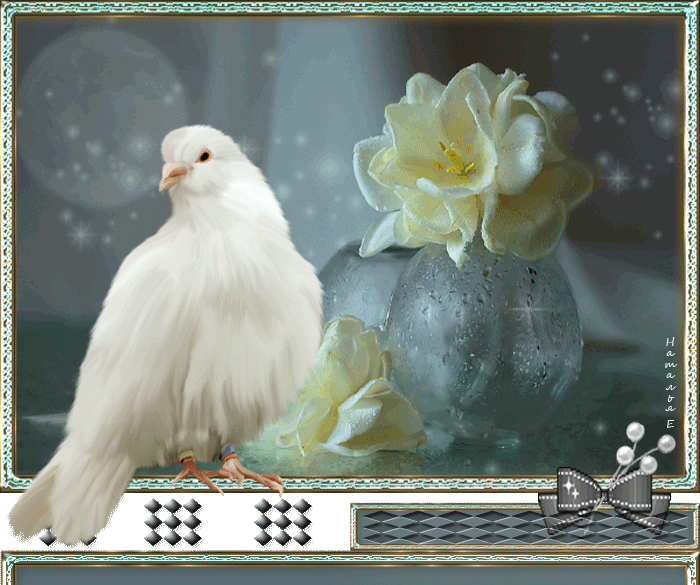 L’oiseau blanc    ...   poème de  Robert Pelletier  !