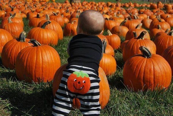 Les Enfants et Halloween ...