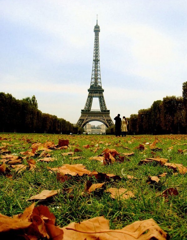 La Tour Eiffel revêt ses atours de l' Automne  ...