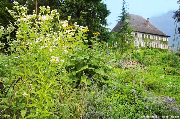 Reposez vous dans ce décor potager de savoie ...