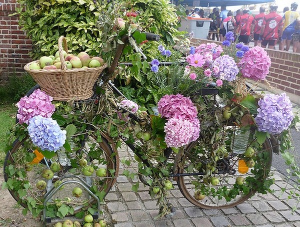 Quelques fleurs pour vous dire  ...  Merciiiii  !