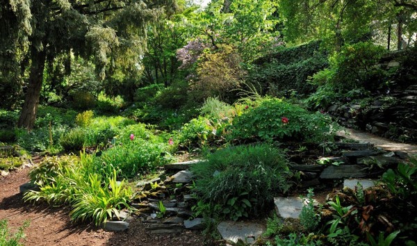 Le jardin alpin du Jardin des Plantes  ...