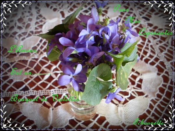 jolies violettes ... du jardin de  Domie  ! 