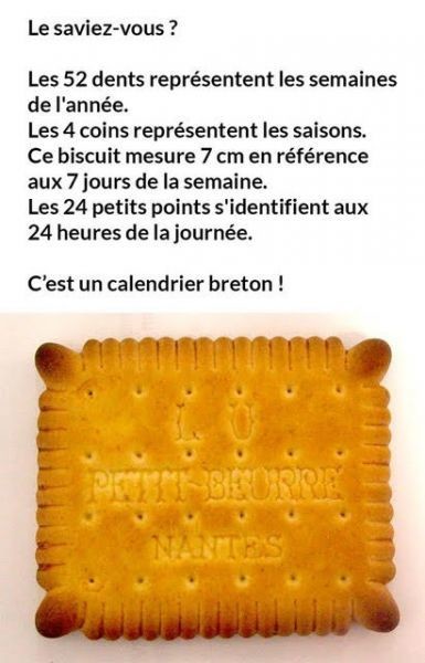 Juste pour le FUN   ...   Un biscuit extraordinaire !