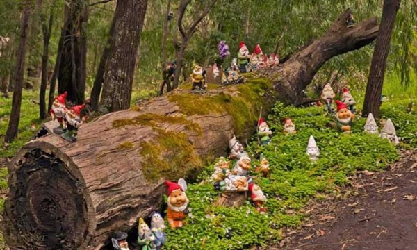  Gnomesville, Comté de Dardanup, Australie ...