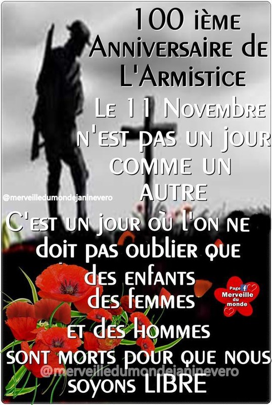 100Ã¨me anniversaire de l'Armistice 1914/1918 ...