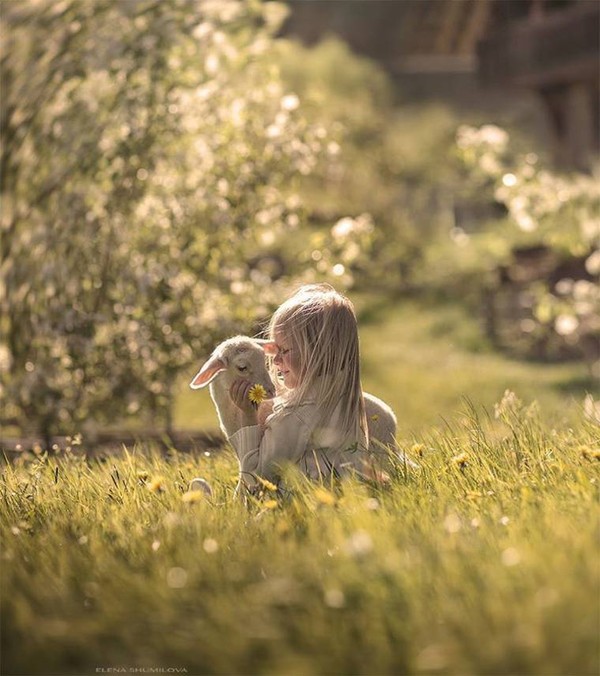 Elena Shumilova   ...    Photographies d'Art !