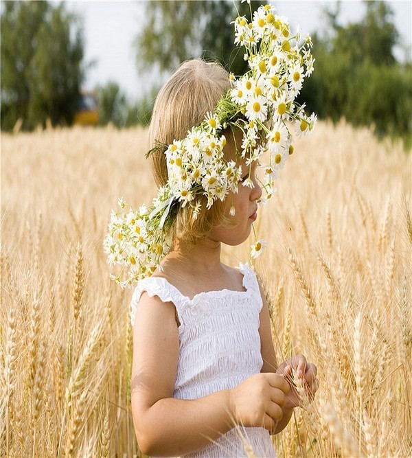 Adorable petite princesse   ...  dans un champ de blé !