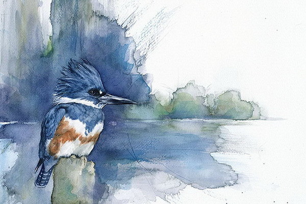 Oiseaux dans les dessins Anne Balogh  ...