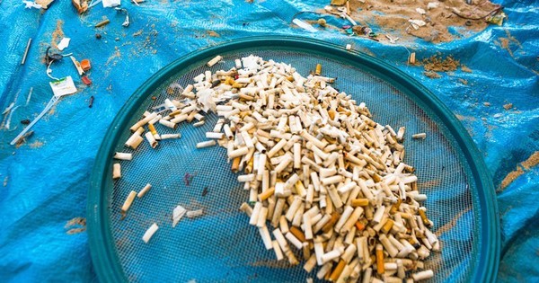 Les mégots de cigarettes polluent plus les océans ...