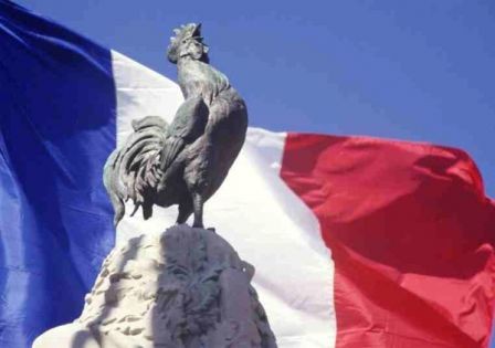 Voici  pourquoi ... le Coq est le symbole de la France !