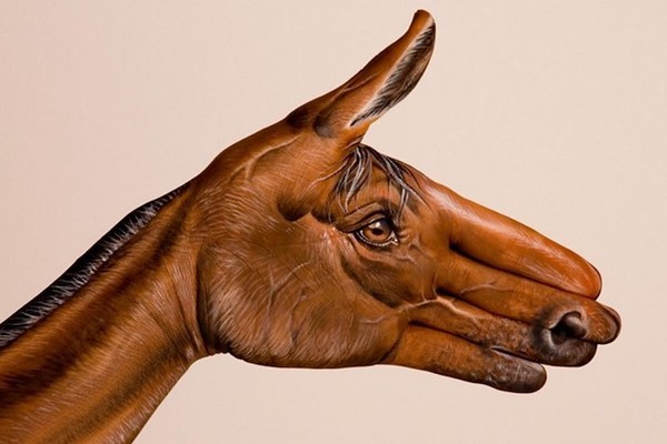 Cet artiste transforme les mains en animaux fascinants !