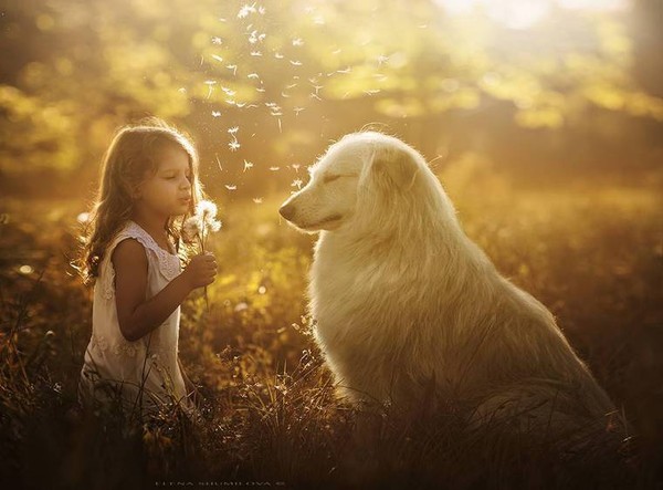 Elena Shumilova   ...    Photographies d'Art !