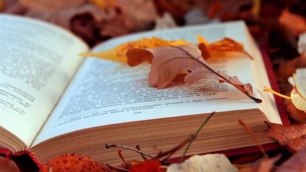 L'automne ... la saison préférée des poètes !