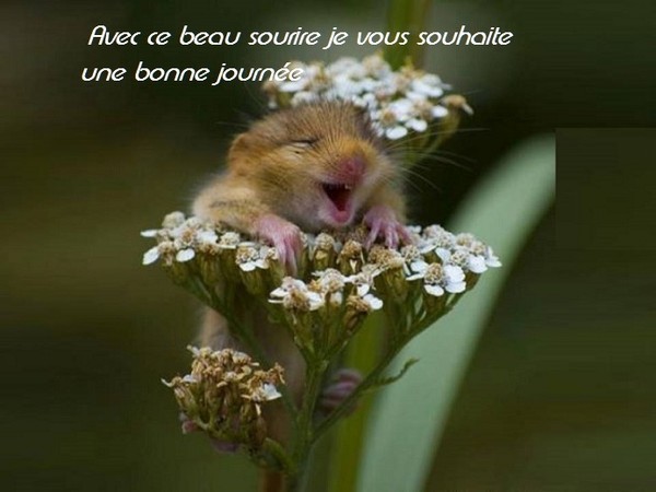 Blagounette     ...    Courte mais mignonne !