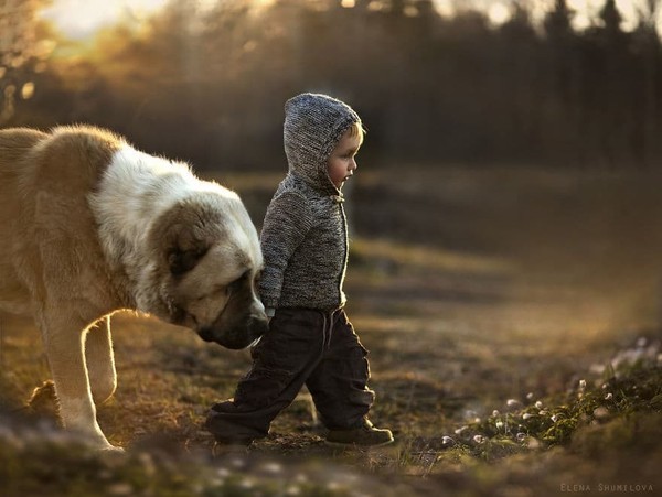 Elena Shumilova    ...   photos d'art  !