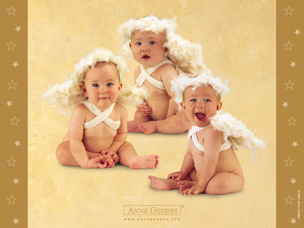 Adorables angelots    ...   créés par Anne Geddes !