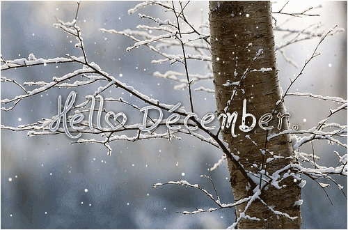 Hello DÃ©cembre ... l'hiver, NoÃ«l et fin de l'annÃ©e !