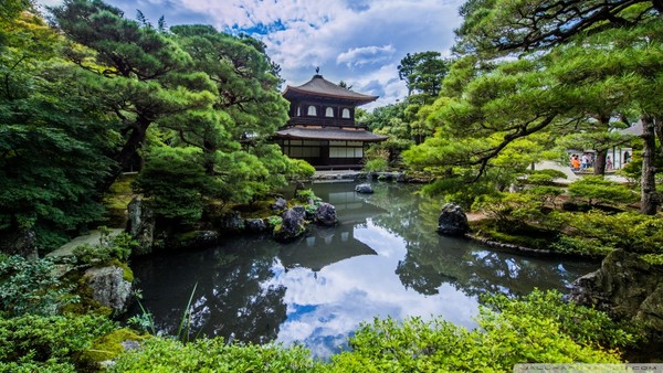 Magnifique jardin "Japonais"   ...